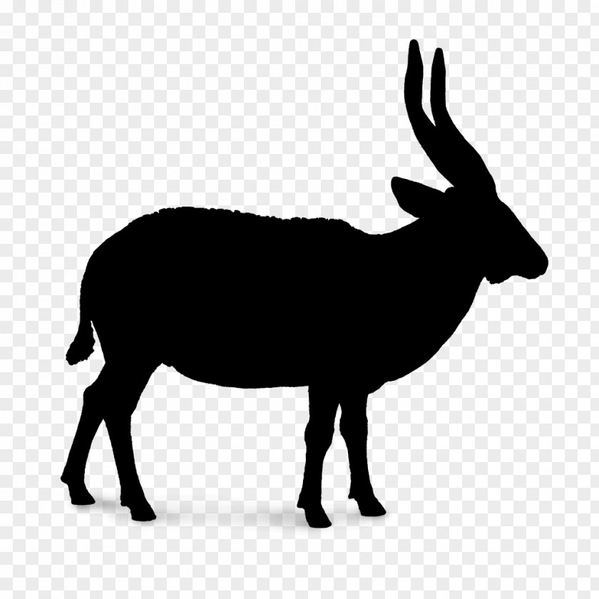 Sheep Reindeer Antler Horn PNG