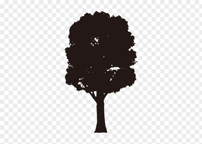Tree Silhouette European Ash Branch Drawing PNG