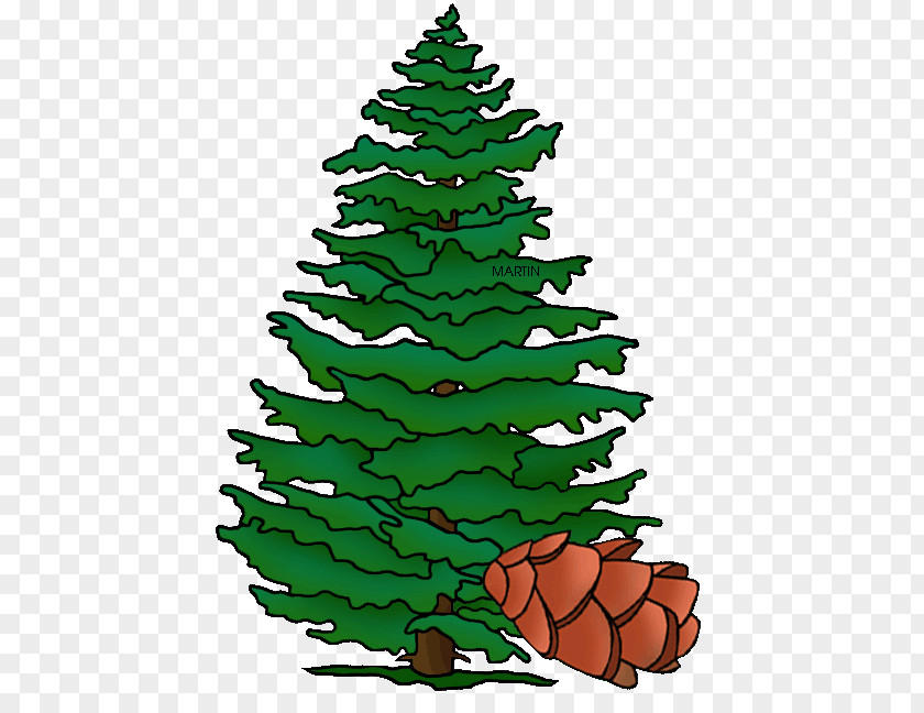 Christmas Tree Spruce Pennsylvania Fir Pine PNG