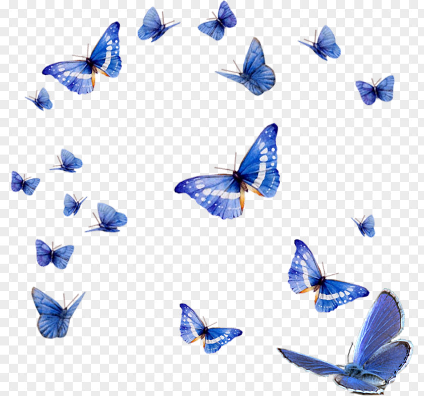 Dreams Background Insect Menelaus Blue Morpho Monarch Butterfly Clip Art PNG