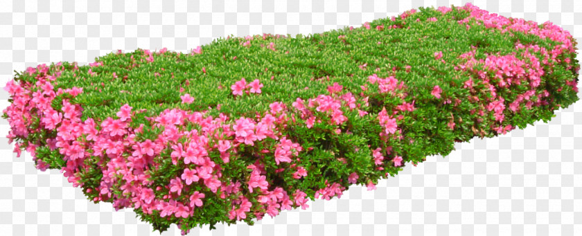 Flower Garden PNG