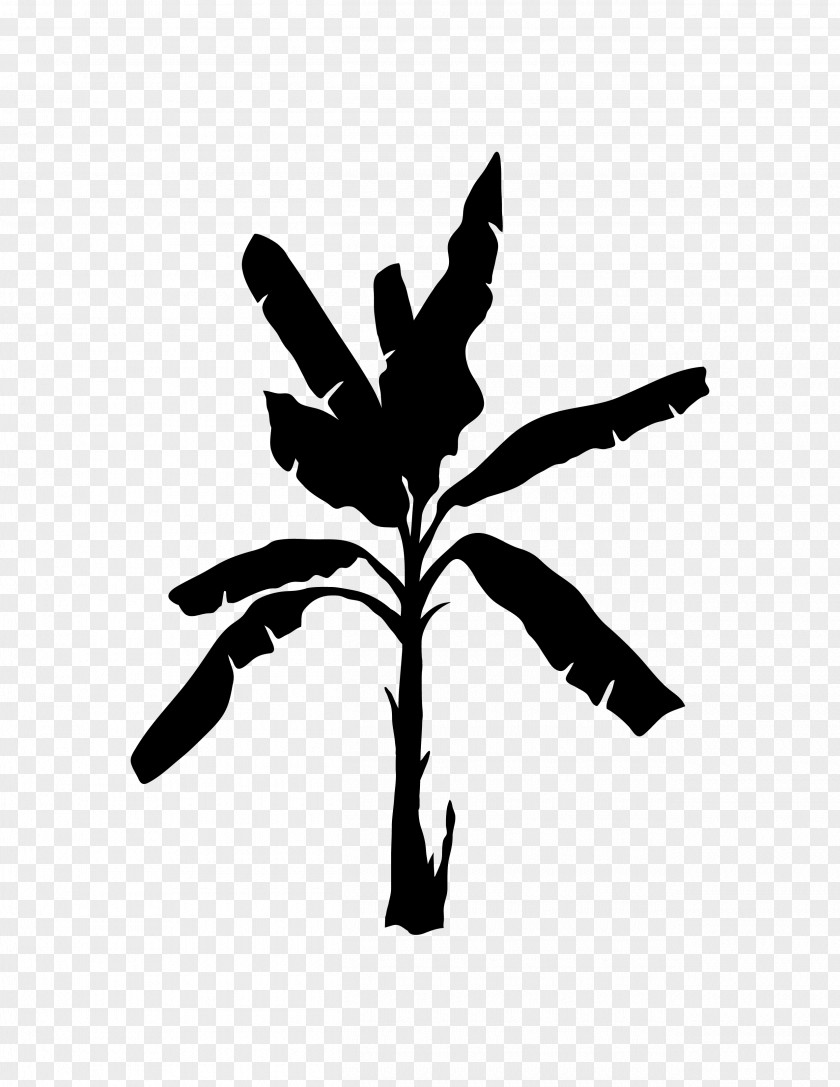 M Clip Art Flower Plant Stem Calligraphy Black & White PNG