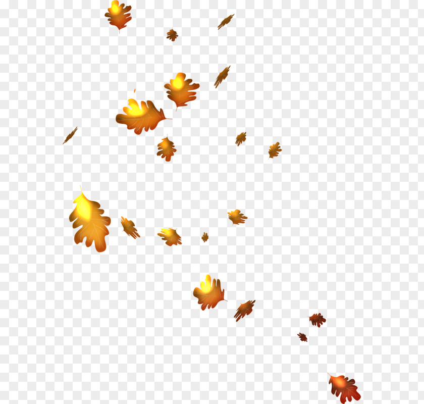 Autumn Leaves Clip Art PNG