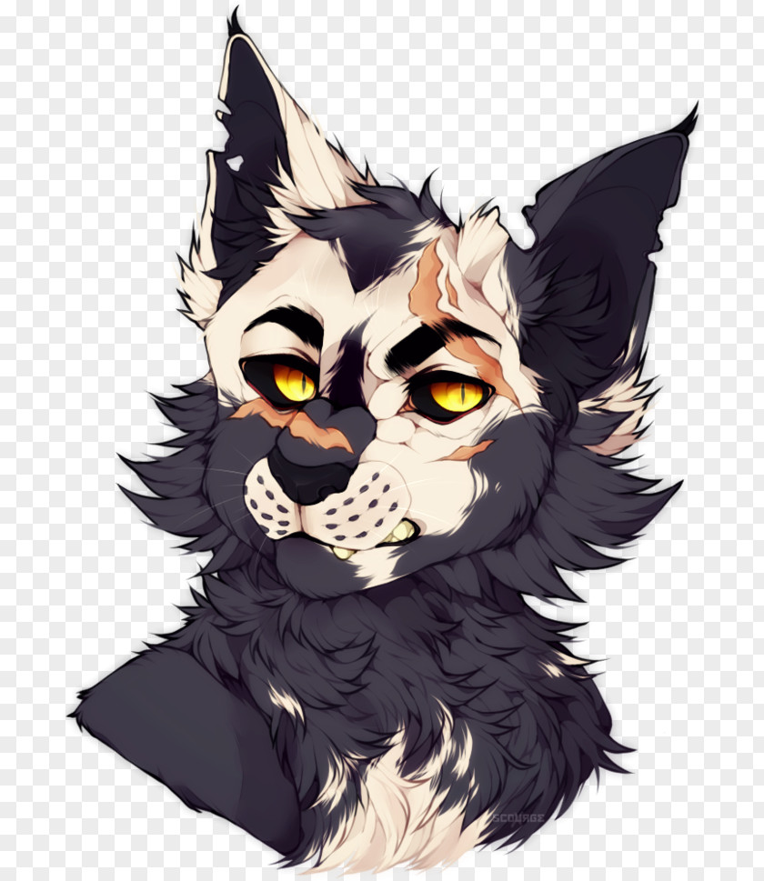 Cat Whiskers Dog Felidae Drawing PNG