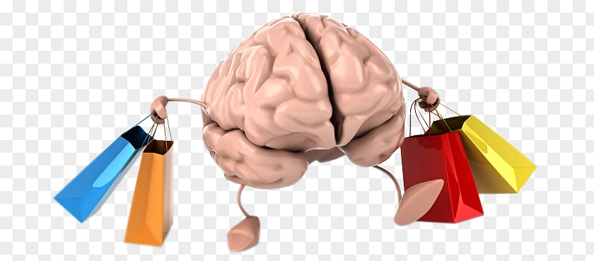 Marketing Neuromarketing Neuroscience Knowledge Agy PNG