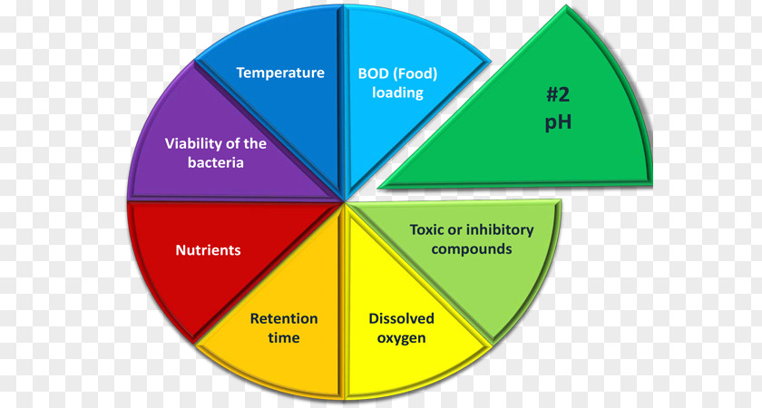 Sewage Treatment Industrial Wastewater Activated Sludge PNG