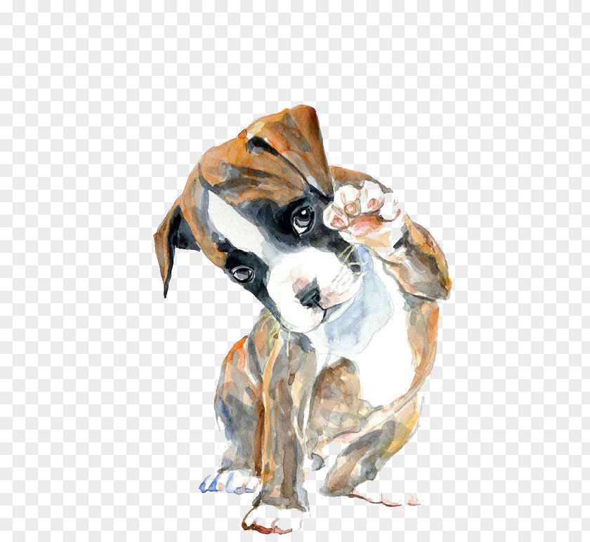 Hello Puppy Boxer Watercolor Painting Oil Drawing PNG