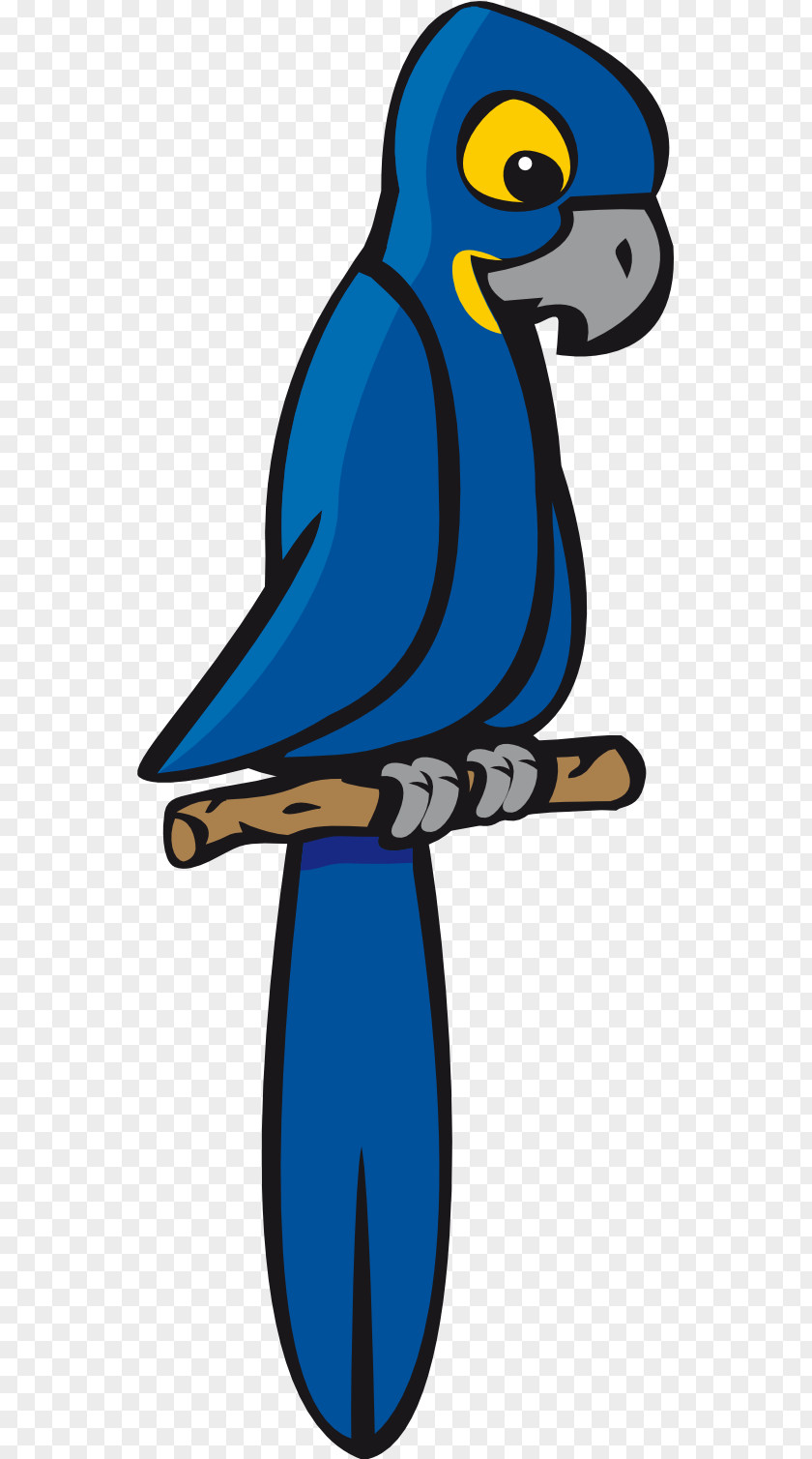 Heron Clipart Parrot Blue-and-yellow Macaw Bird Scarlet PNG