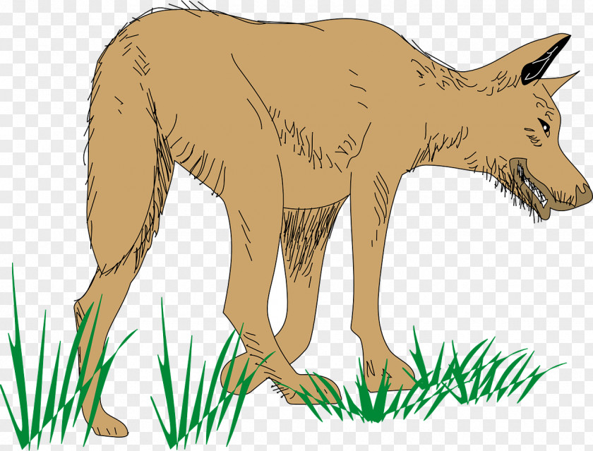 Hungry Wolf Dog Clip Art PNG