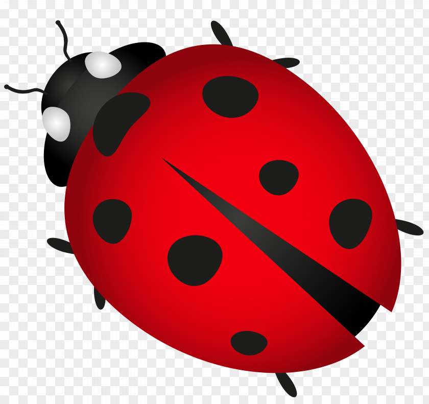 Ladybug Beetle Ladybird Plagg Clip Art PNG