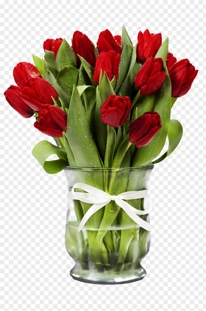 Tulip Cut Flowers Floral Design Floristry PNG