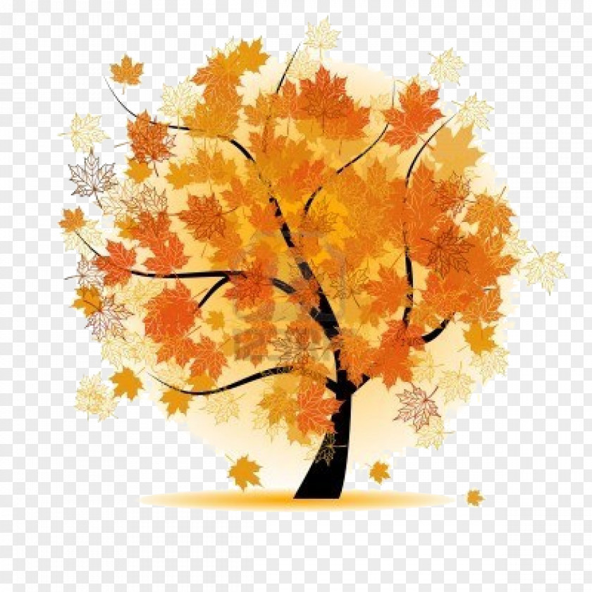 Vector Graphics Stock Photography Autumn Tree Royalty-free PNG