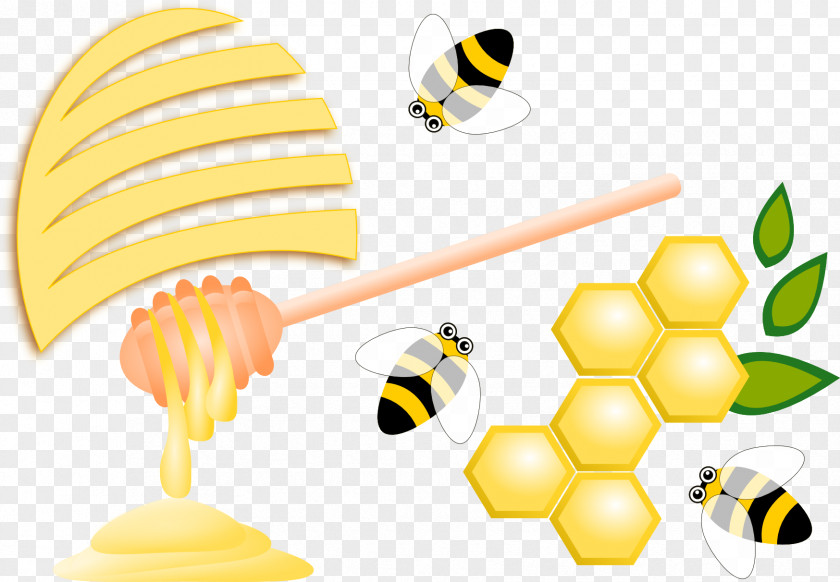 Bee Honey Insect Pollinator PNG