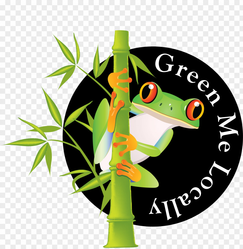 Business Logo Tree Frog Florida Environmentally Friendly PNG