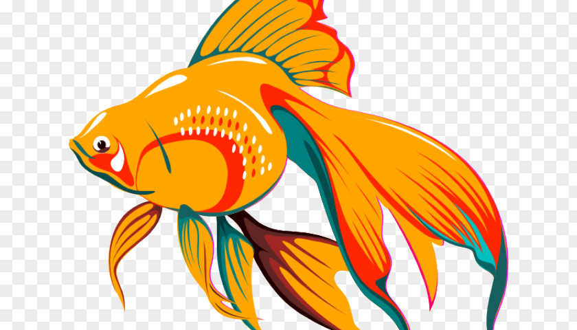 Fish Veiltail Siamese Fighting Butterfly Tail Koi Clip Art PNG