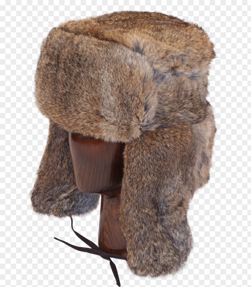 Hat Knit Cap Ushanka Fur Rabbit Hair Leather Helmet PNG