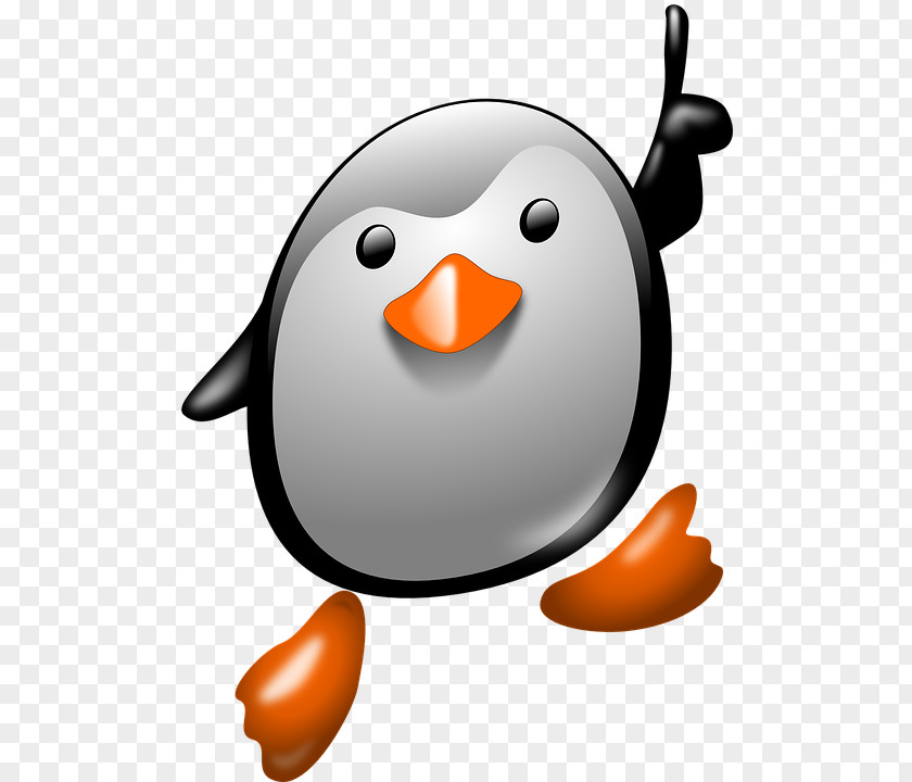 Penguin Clip Art PNG