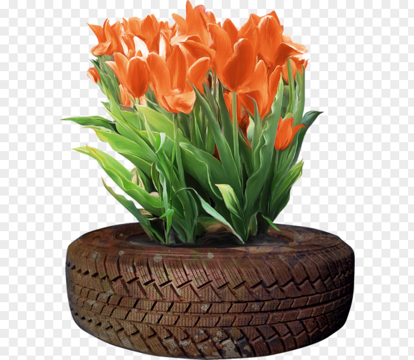 Tulip Tire Flower PNG