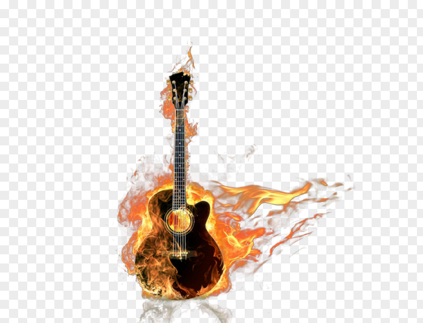 Bass Guitar Acoustic PNG