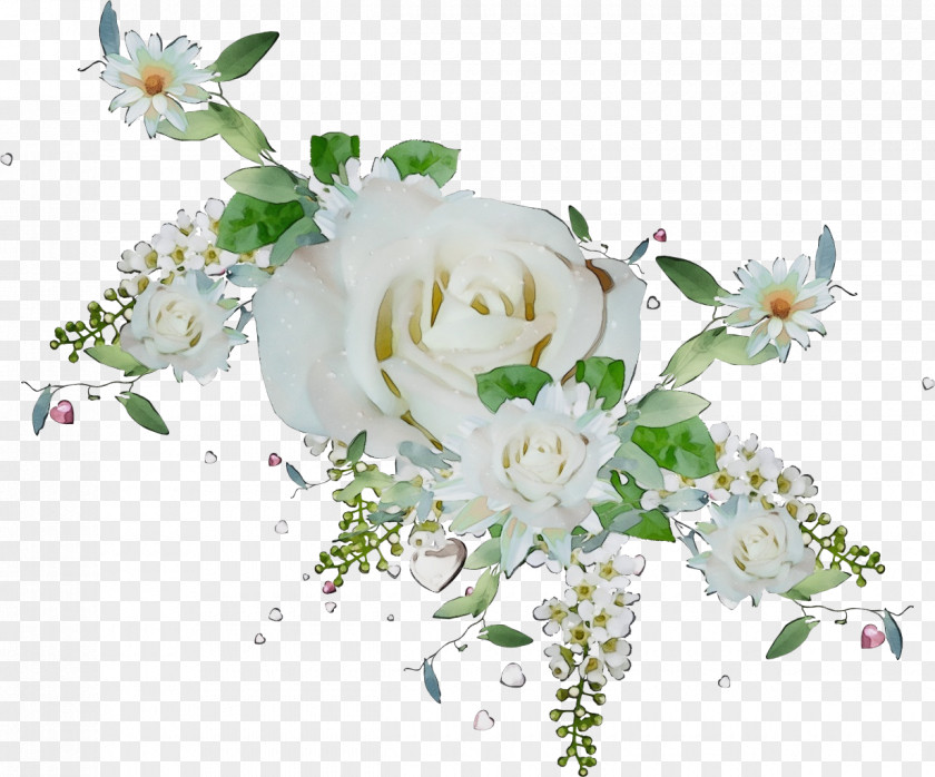 Branch Petal Rose PNG