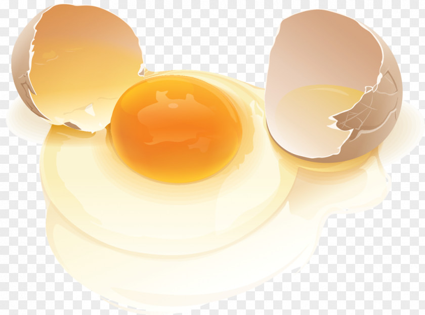 Chicken Egg White Eggshell PNG