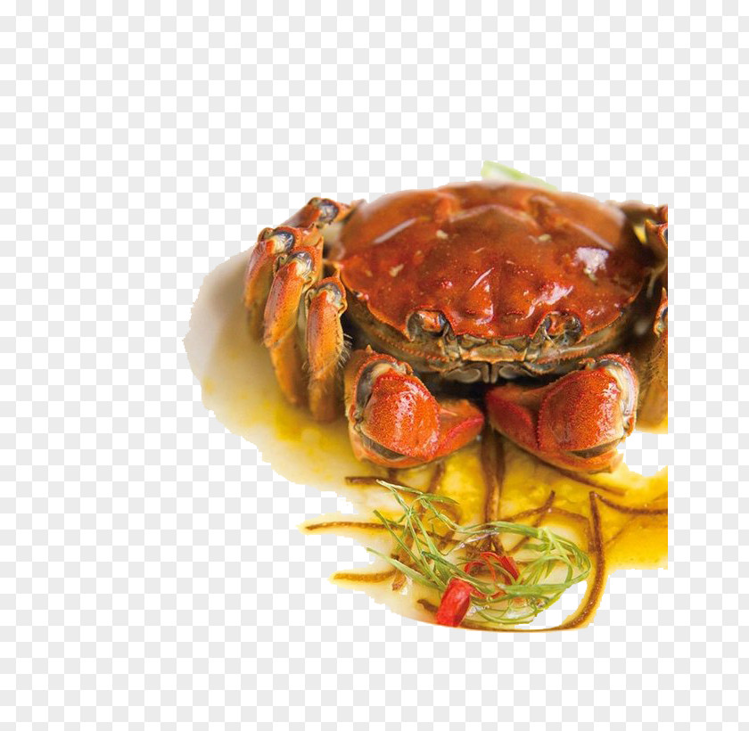 Crabs Dungeness Crab Seafood Charybdis Flower PNG
