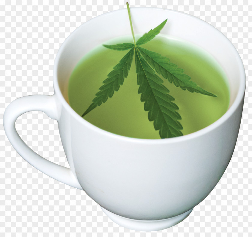Drink Tea Green Matcha Sencha Masala Chai PNG