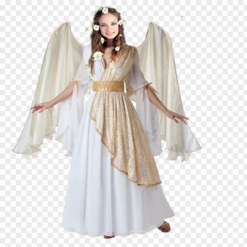 Fancy Dress Costume Party Halloween Angels Costumes PNG