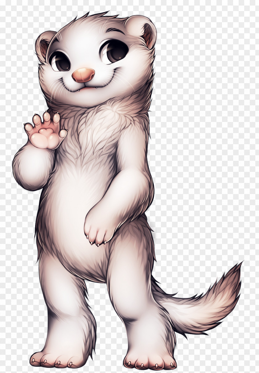 Ferret Otter Mustela Raccoon Cat PNG