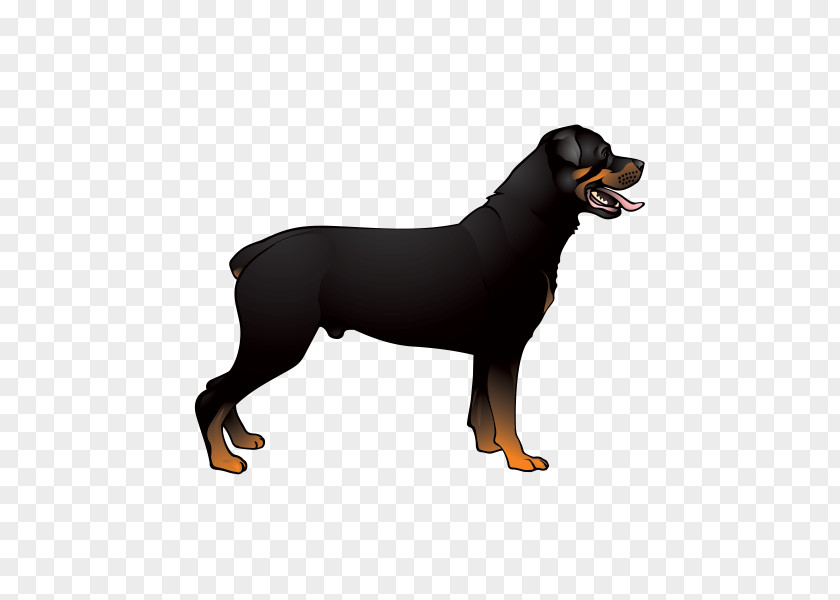 Golden Retriever Dobermann Rottweiler Labrador Miniature Pinscher PNG