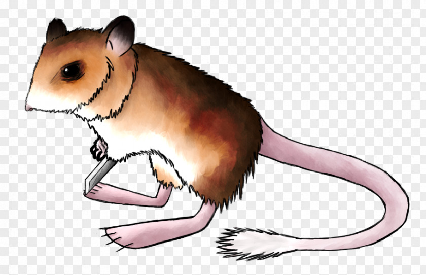 Mouse Gerbil Hamster Dormouse Brown Rat Rodent PNG