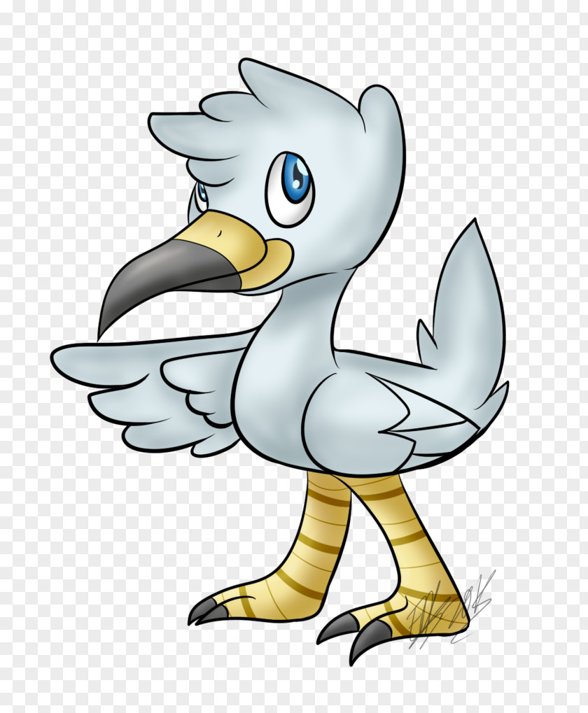 Seagull Duck Water Bird Chicken Goose PNG