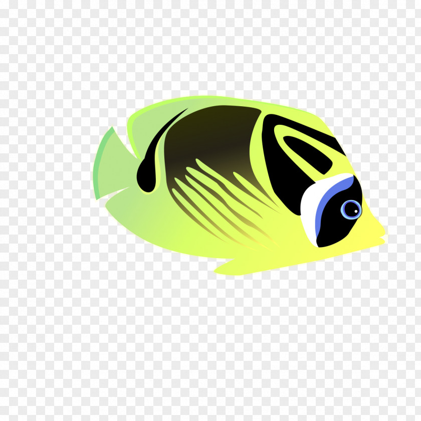 Swimming Fish Cartoon PNG