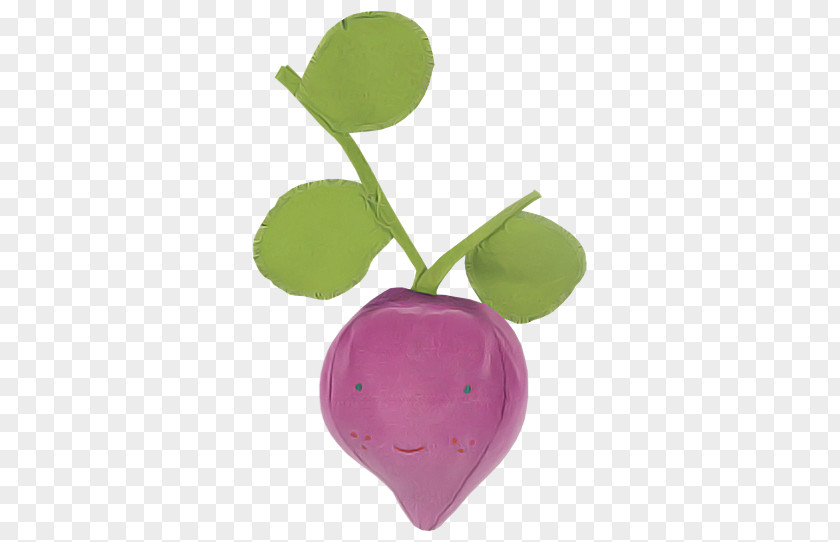 Violet Purple Radish Leaf Plant PNG