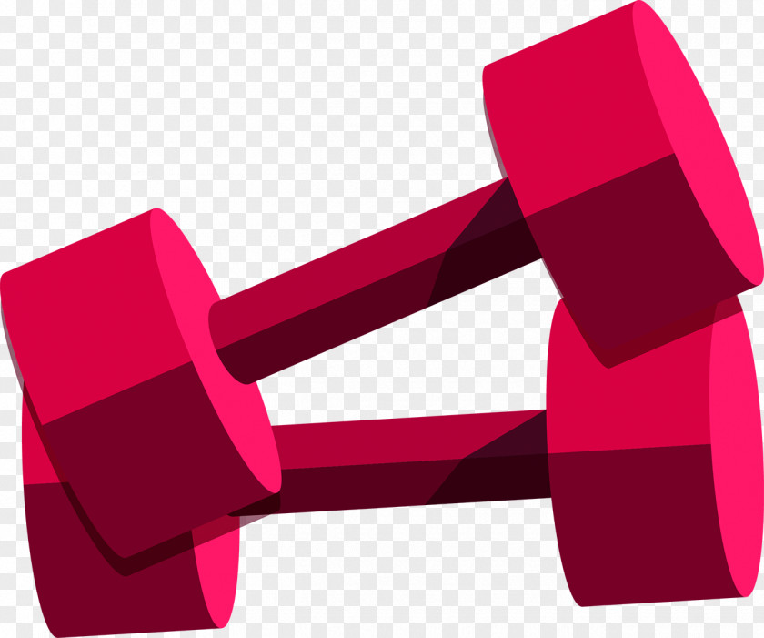 Dumbbell Clipart Unixtitan Clip Art Image Computer File PNG