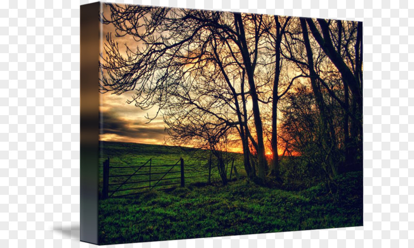 Painting IPhone 8 Douchegordijn Desktop Wallpaper High-dynamic-range Imaging PNG