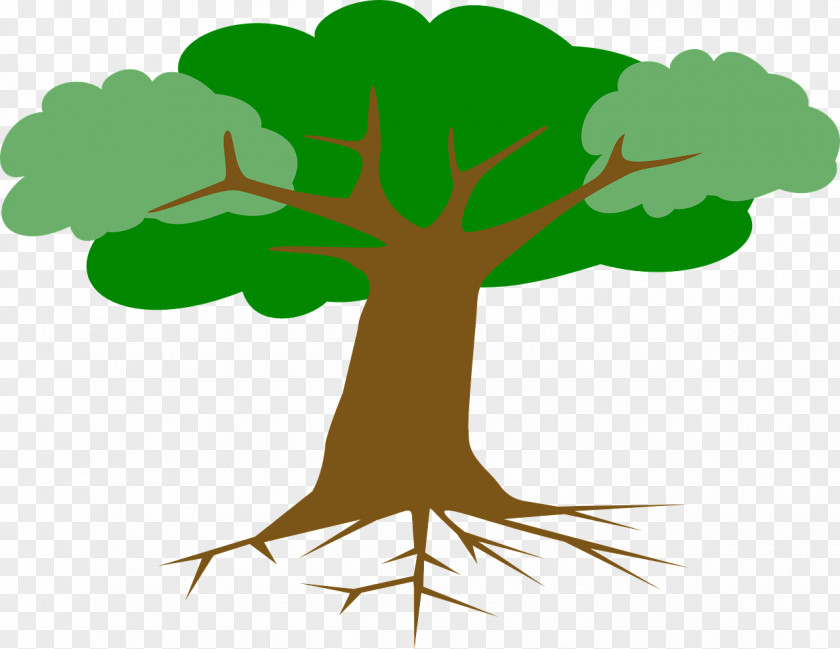 Tree Drawing Root Clip Art PNG