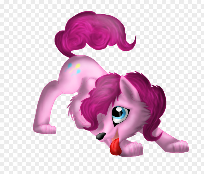 Cat Pinkie Pie Rainbow Dash Rarity Applejack PNG