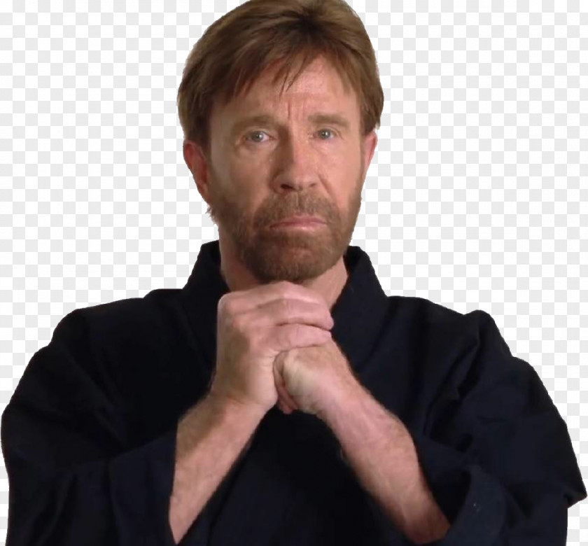 Chuck Norris Facts Meme Joke Martial Arts PNG facts arts, clipart PNG