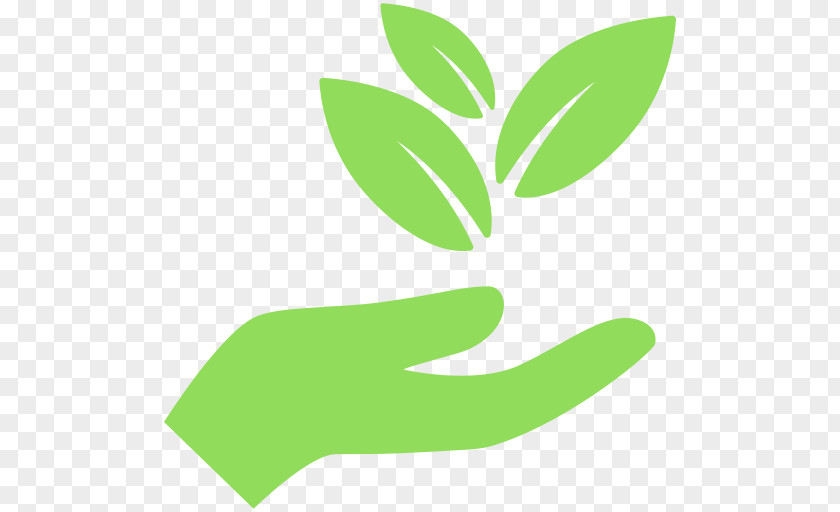 Hand Holding Sustainability Business Organization PNG