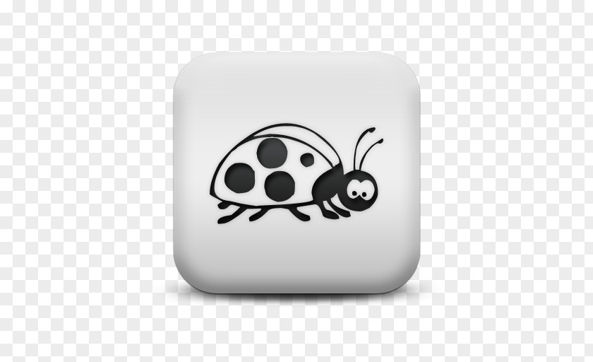 Insect Ladybird Drawing Black And White Clip Art PNG