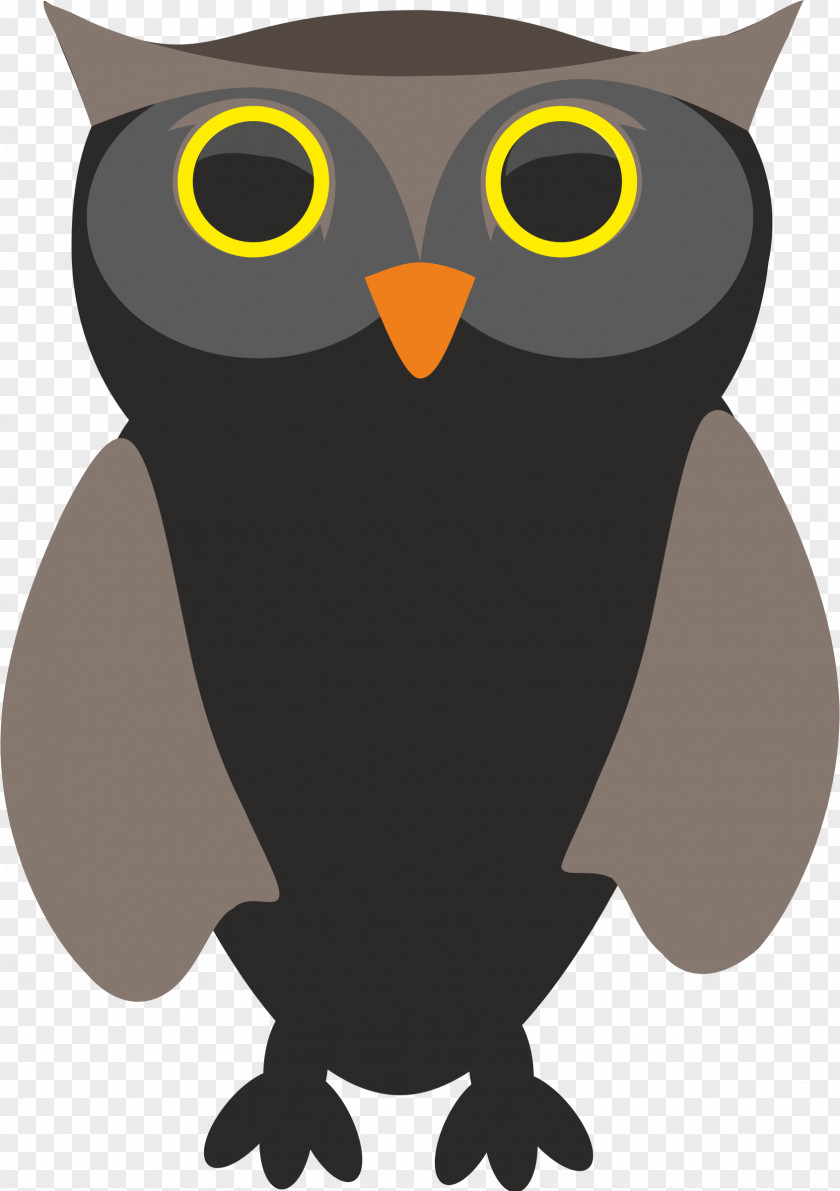 Owl Bird PNG