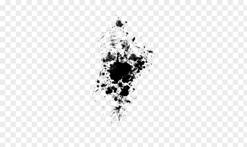 Paint Smudge Painting Black And White Monochrome Photography PNG