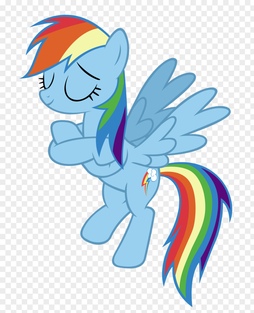 Rainbow Dash My Little Pony PNG