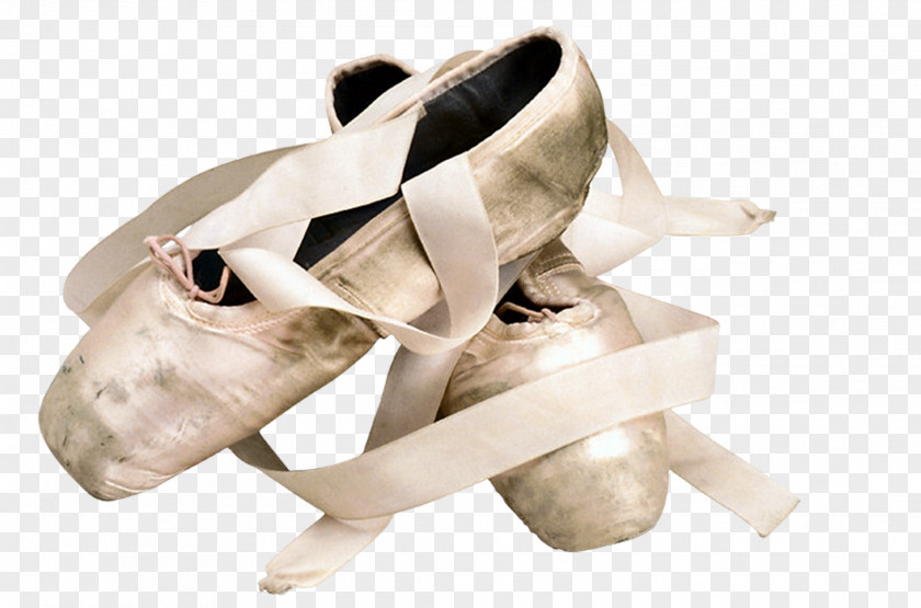 Shoes Ballet Shoe Slipper Pointe PNG