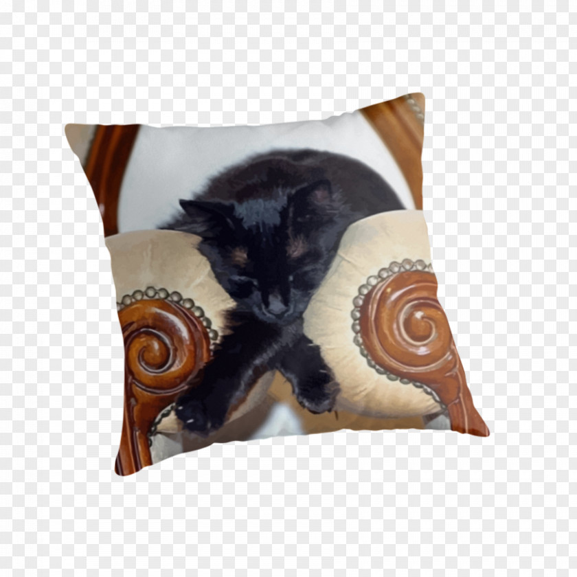 Cat Throw Pillows Cushion Sleep PNG