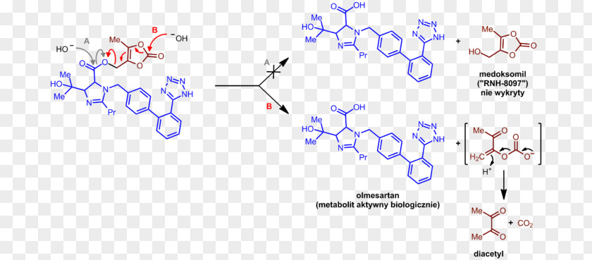 Olmesartan Angiotensin II Receptor Blocker Prodrug Telmisartan Amlodipine PNG