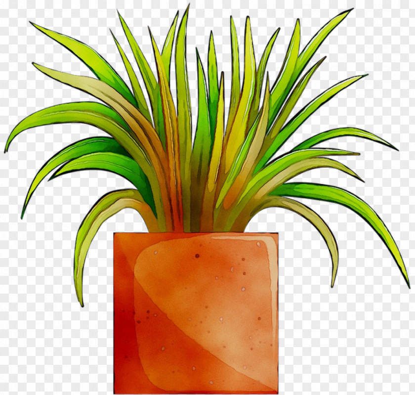 Palm Trees Flower Fruit PNG