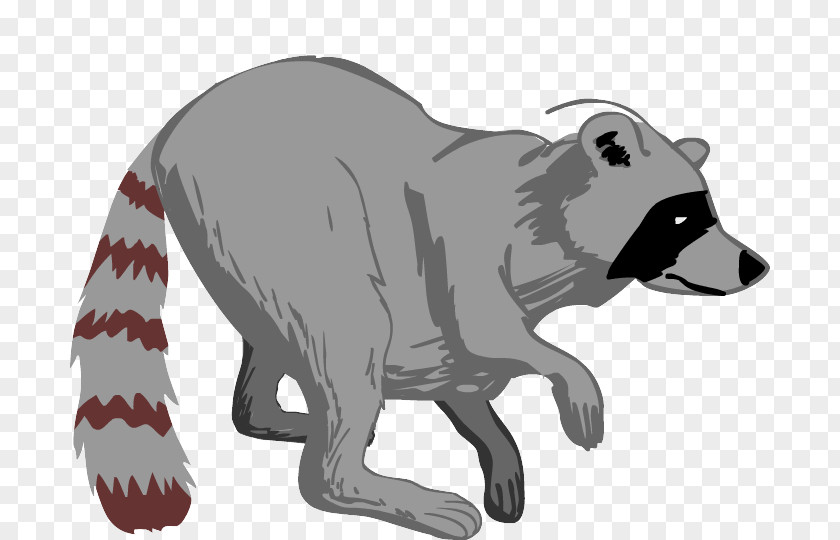 Raccoon Animation Character Drawing Cartoon PNG