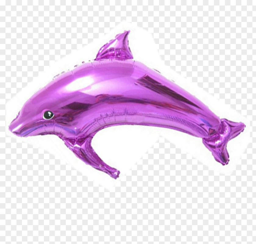 Dolphin Marine Biology Pink M Balloon PNG